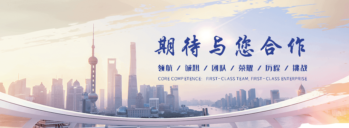茶陵网站S.E.O排名